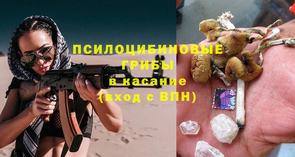 твердый Алзамай