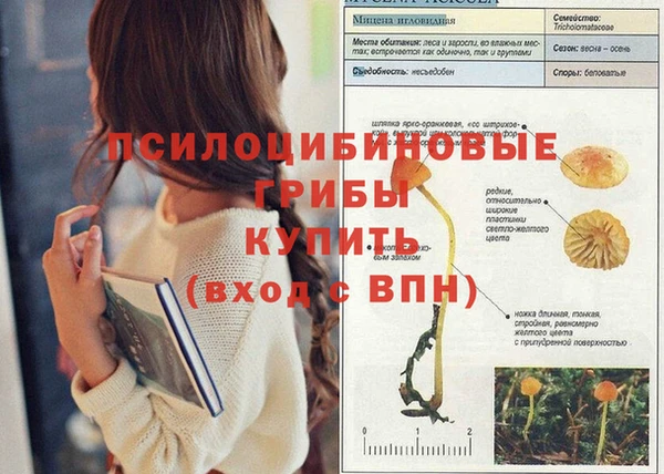 амф Алексеевка