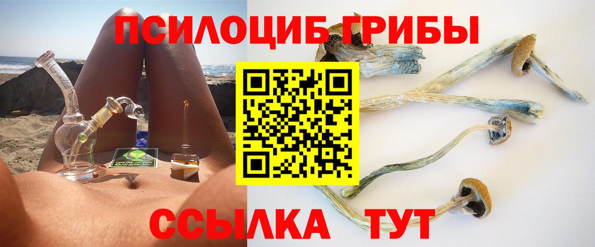 Кореновск  Псилоцибиновые грибы мицелий  Псилоцибиновые грибы ЛСД  Вход с VPN 